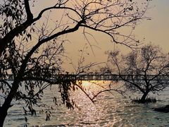 -宝安西湾红树林湿地公园