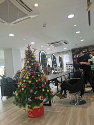 -新晨·SALON·形象造型