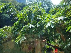 -侨美唐荔园·宴会厅(唐荔园食艺馆店)