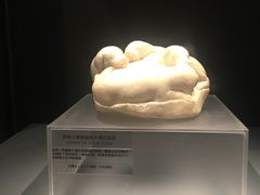 -盘龙城遗址博物院