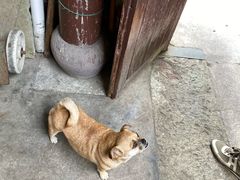 -蒋氏故居