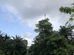 -三亚湾红树林度假世界(木棉酒店)
