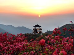 -大围山国家森林公园