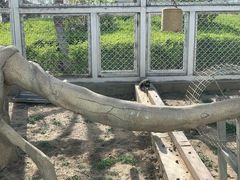 -大青山野生动物园