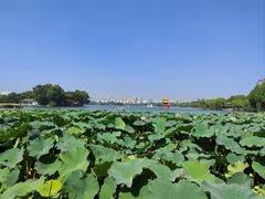 -济南大明湖景区
