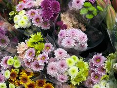 -循礼门鲜花花市(武汉循礼门店)