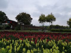 -广东花都香草世界旅游度假区