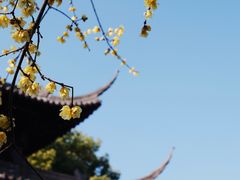 -钱王祠