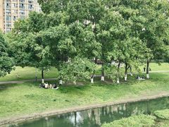 -两河城市森林公园