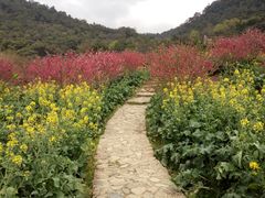 -广州市石门国家森林公园