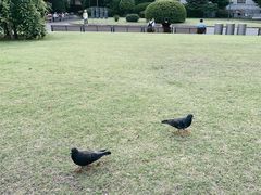-东京国立博物馆