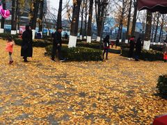 -两江幸福广场