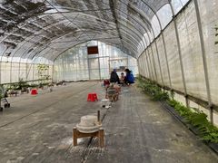 -前小桔亲子创意农场·草莓采摘·露营烧烤