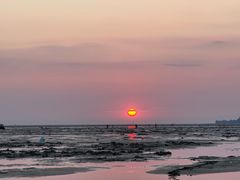 -北海金海湾红树林生态旅游区