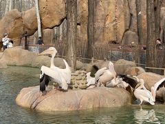 -北京野生动物园