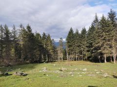 -硗碛藏寨·神木垒景区