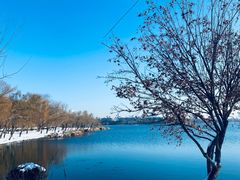 -长春市南湖公园