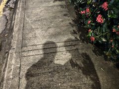 -吉隆坡国油双峰塔