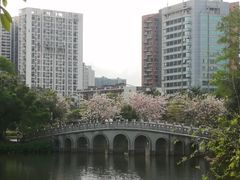 -四海公园(南山区)