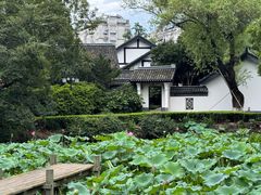 -红梅公园