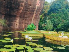 -广州莲花山旅游区