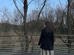 -西湖风景区-江洋畈生态公园