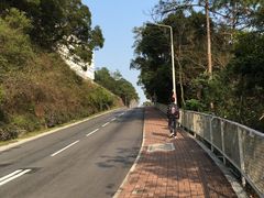 -大埔公路-马料水段香港中文大学(公交站)