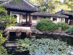 -上海醉白池公园
