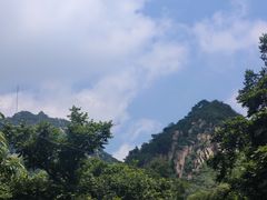 -大岭沟猕猴桃谷风景区