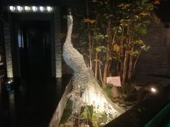 -尚橙歌坊主题式KTV(恒大商业广场店)