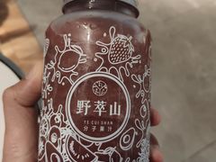 -野萃山·潮汕厚果汁(十亩地店)