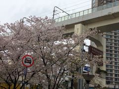 -W CAFE(甜爱路店)