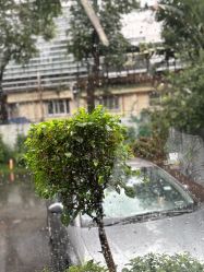 -宝生月子中心(独栋园林·福田店)