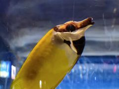 -西安曲江海洋极地公园