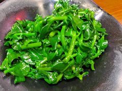 田七苗-福照楼汽锅鸡·云南菜(护国路店)