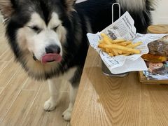 -李小姐の猫咖啡馆(五角场店)