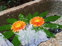 -天目湖御水温泉·度假酒店