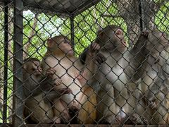 -长白岛森林公园