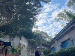 -八卦楼风琴博物馆