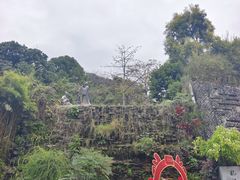 -广州神农草堂中医药博物馆