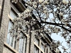 -南京晨光1865创意产业园