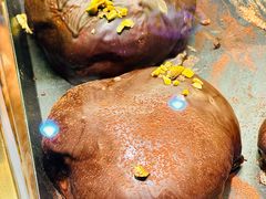 -万达广场(泰安泰山店)