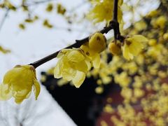 -钱王祠