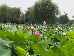 -陶辛水韵