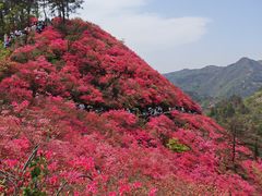 -木兰云雾山