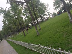 -美兰湖景区