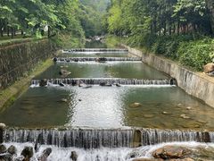 -广州白江湖森林公园