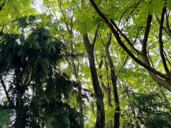 -钟山体育运动公园