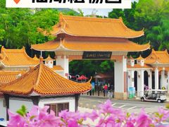 -深圳市中科院仙湖植物园