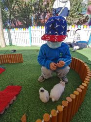 -萌宠亲子动物乐园(槐房万达店)